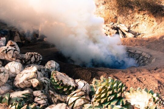 Tour Mezcalero with the best selling brand in Oaxaca