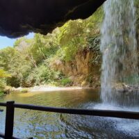 Walking Tours