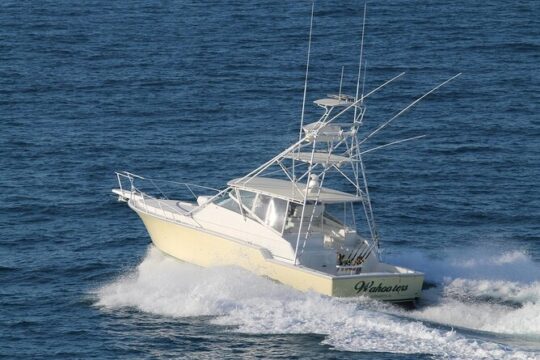 Private Full-Day Deep Sea Fishing Charter on "Wahooters"