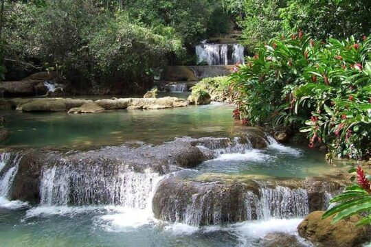 Black River Safari & YS Falls Tour from Runaway Bay