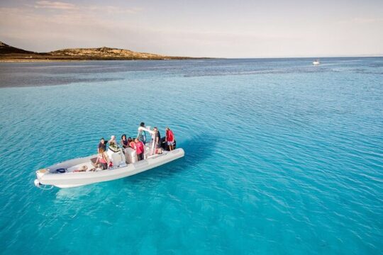 Half Day Dinghy Tour in Asinara Gulf from Stintino