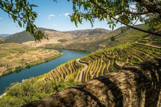 Lisbon to Douro Valley Direct Transfer | Premier Experience