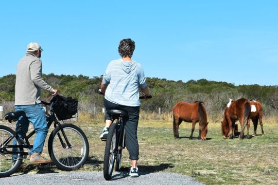 Bicycle Rental from Visitor Center location at Assateague, MD