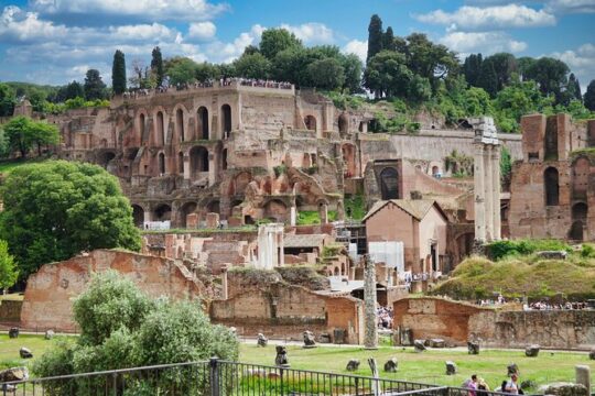 Private Tour of Domus Tiberiana and Ancient Rome