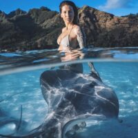 Swim with Dolphins