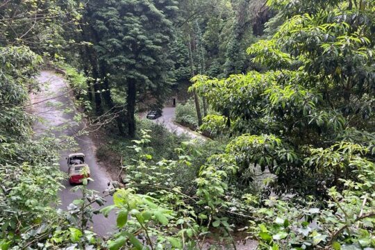 Scenic hiking tour in Sintra