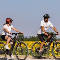 Walking & Biking Tours