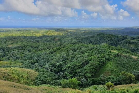 Half Day Dominican Safari for all Family