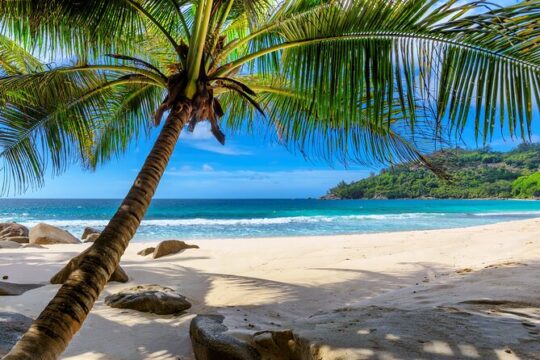 Barbados Airport Transfer to Hastings and Garisson Area Hotels