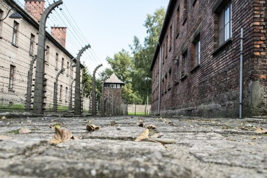 Combined: Auschwitz Birkenau and Salt Mine private chauffeur from Krakow