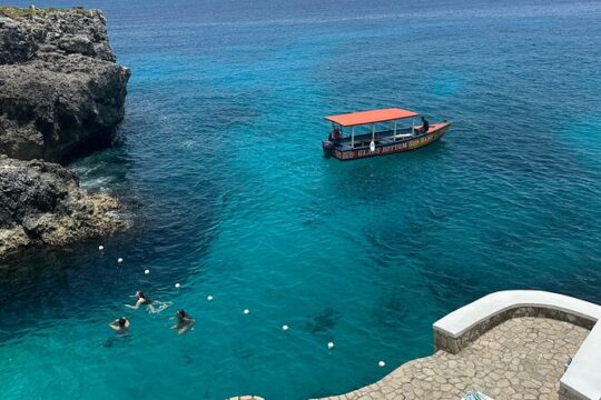 Day Trip to Negril Beach & Ricks Cafe from Hotels