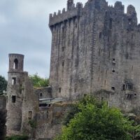 Shore Excursions