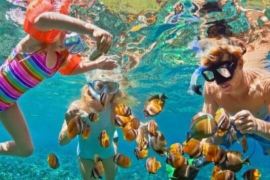 Private: Half Day Snorkeling Tour/swimming/sightseeing