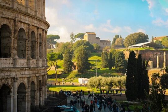 Fast track Colosseum Guided Tour
