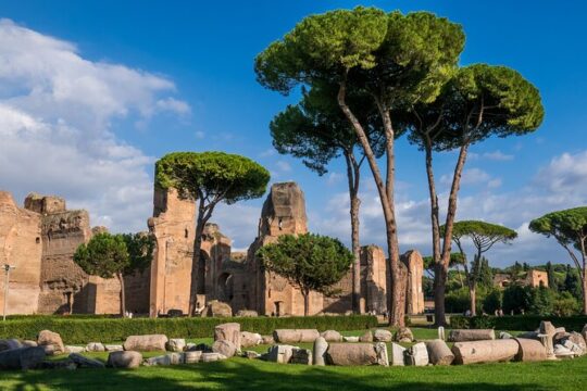 Exclusive Caracalla Bath Private Guided Tour