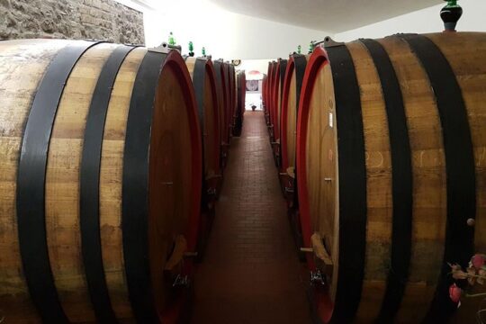 Degustazione di vini a Montepulciano, visitando Siena, in Toscana da Firenze