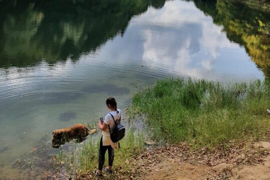 Istanbul Belgrad Forest Hiking & Trekking Tour With Local Hikers