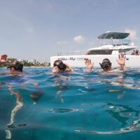 Weddings & Honeymoons