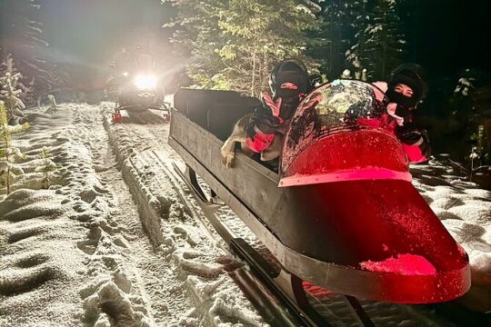 Northern Lights Tour Sleigh Ride