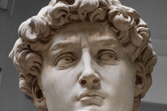 Private Tour in Accademia Gallery of Florence