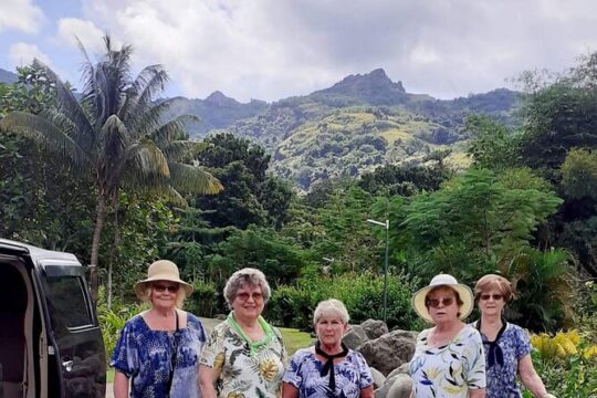 Halfday Private Mudpools,Veseisei Fijian Village,Sleeping Giants Garden&Shopping