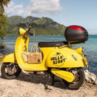 Vehicle Rentals