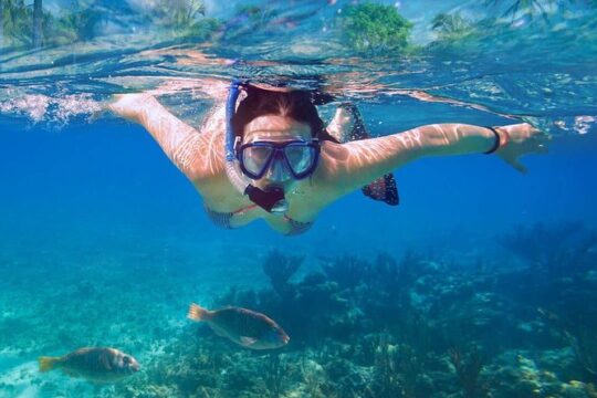 Catalina Island Tour with Snorkelling and Lunch