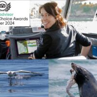 Cruises, Sailing & Water Tours