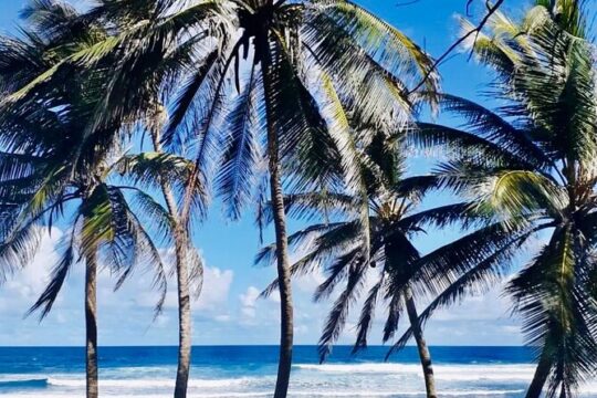Panoramic Coastal Barbados Tour