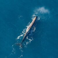 Private Sightseeing Tours