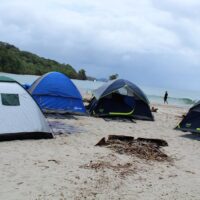 Multi-day & Extended Tours