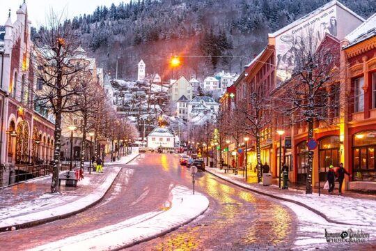 Self-guided day tour From Bergen to Flam All Inclusive roundtrip