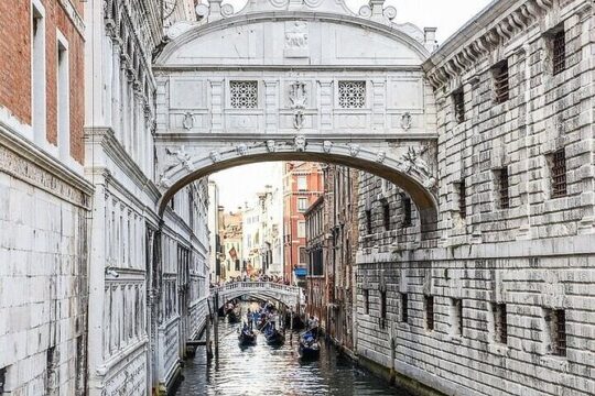 Private Tour from Milan: Venice Full Day Tour by Train