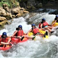 Eco Tours