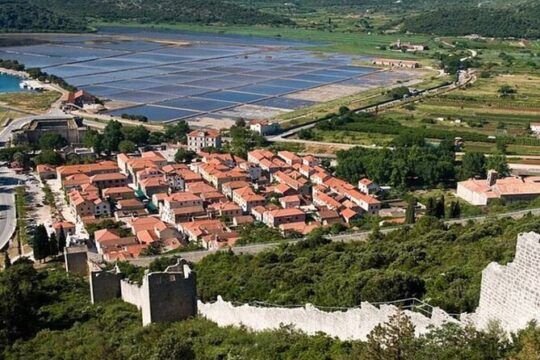Wine tasting private tour to Peljesac