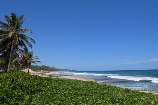 Barbados Shore Excursion Island Tour and Snorkel Cruise