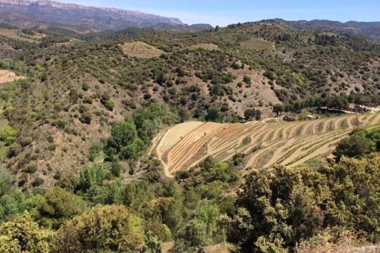 2 Days Wine Tasting Private Tour
