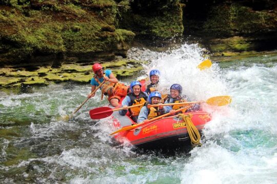 Half Day, Grade 5, White Water Rafting on the Rangitikei River
