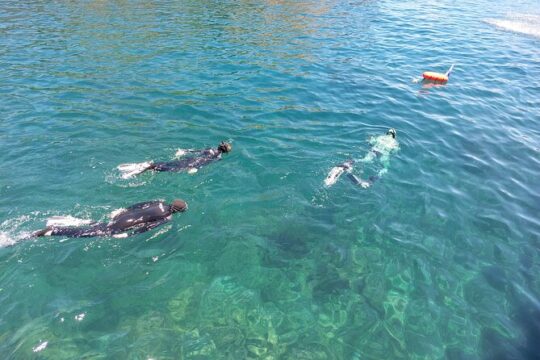 Boat trip to Cabras Islet