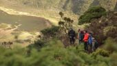 A visit to Faial's western Volcanic area