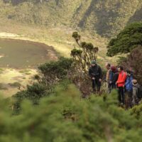 Sustainable Tours