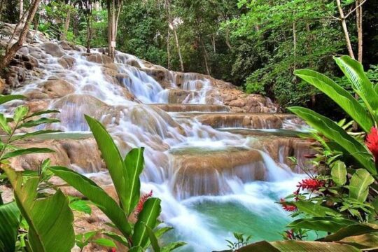Private Tour From Ocho Rios to Blue Hole and Dunn's River