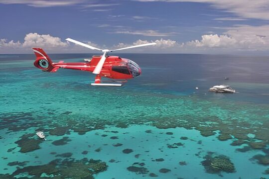 Fly in and Fly out Great Barrier Reef Cairns Day Tour