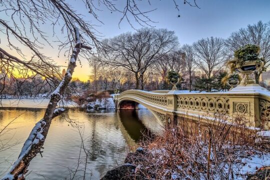 Self Guided Central Park Scavenger Hunt