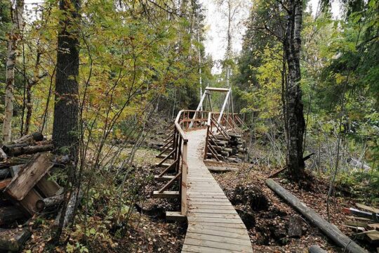 Rovaniemi: Vaattunkiköngäs Nature Trail Hiking Tour