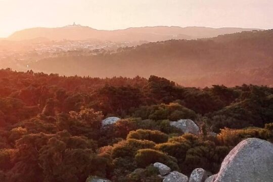 Private Evening Walk Inside the Forest: "Sintra Mountains Inbetween Wolves"