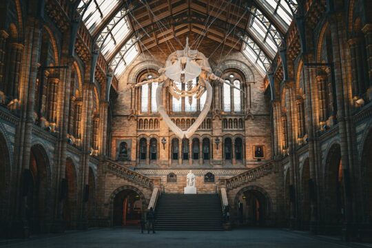 Natural History Museum Walking Tour of London