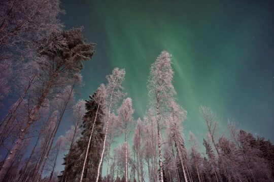 4 Hours Northern Lights Hunting in Rovaniemi