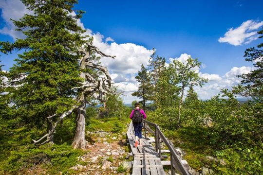 Day Trip to Korouoma Canyon from Rovaniemi