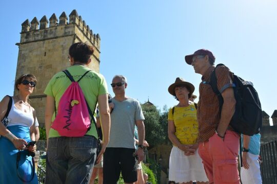 Cordoba Monuments guided tour in French